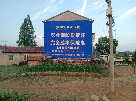 武夷山墙体广告为何受追捧?