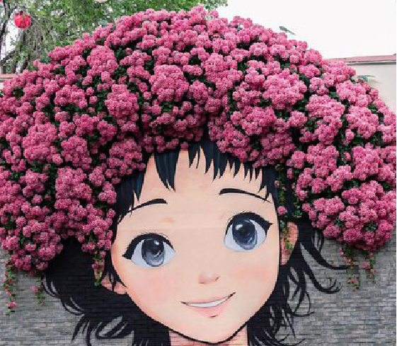 武夷山墙体彩绘-网红墙打卡